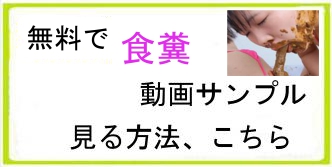 syokufunnyukai